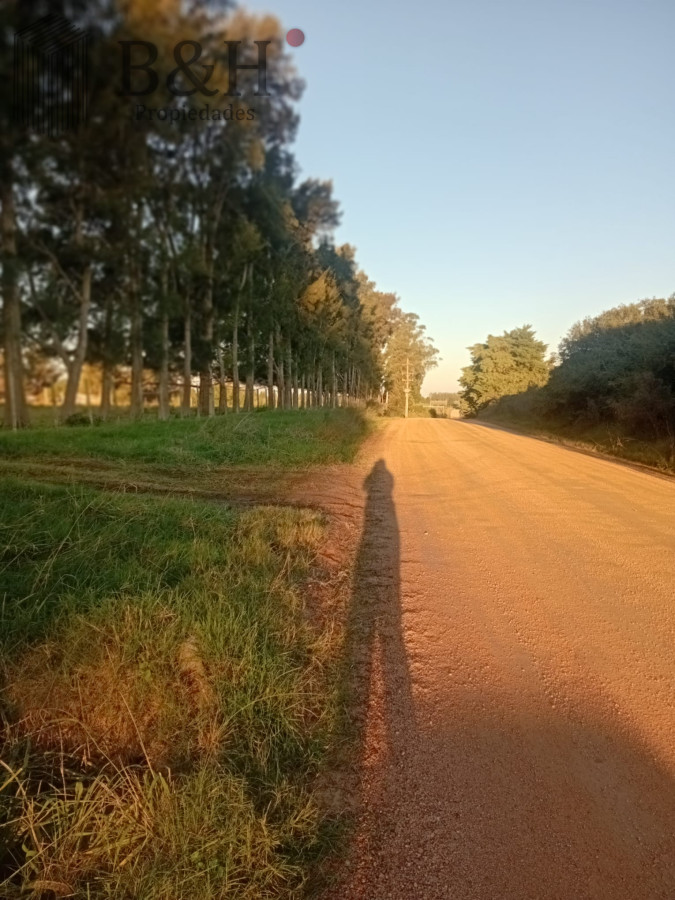 San Carlos - GoPunta - Portal Inmobiliario de Punta del Este - Maldonado