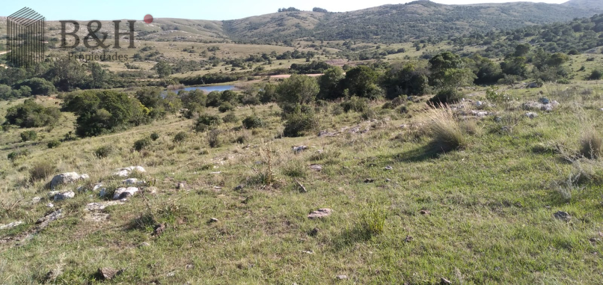 Venta de Chacra en Maldonado de 5 Ha - GoPunta - Portal Inmobiliario de Punta del Este - Maldonado