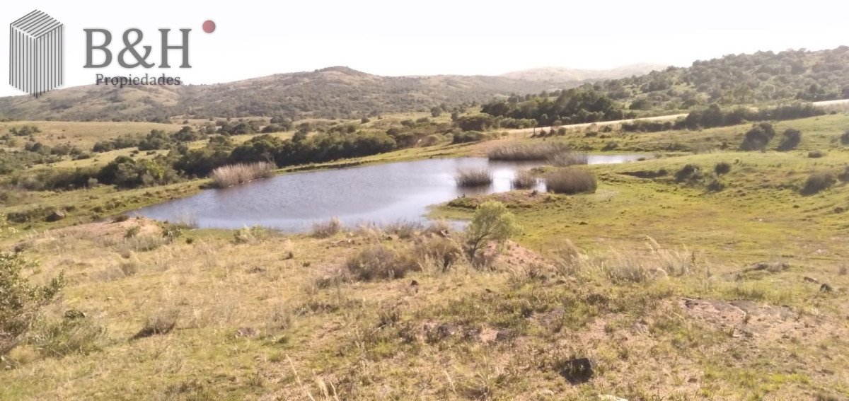 Venta de Chacra de 10 Ha en Aigua - GoPunta - Portal Inmobiliario de Punta del Este - Maldonado