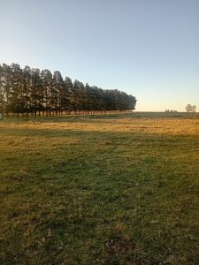 Venta de Chacra de 7 Ha en Zanja de Chavez, Maldonado