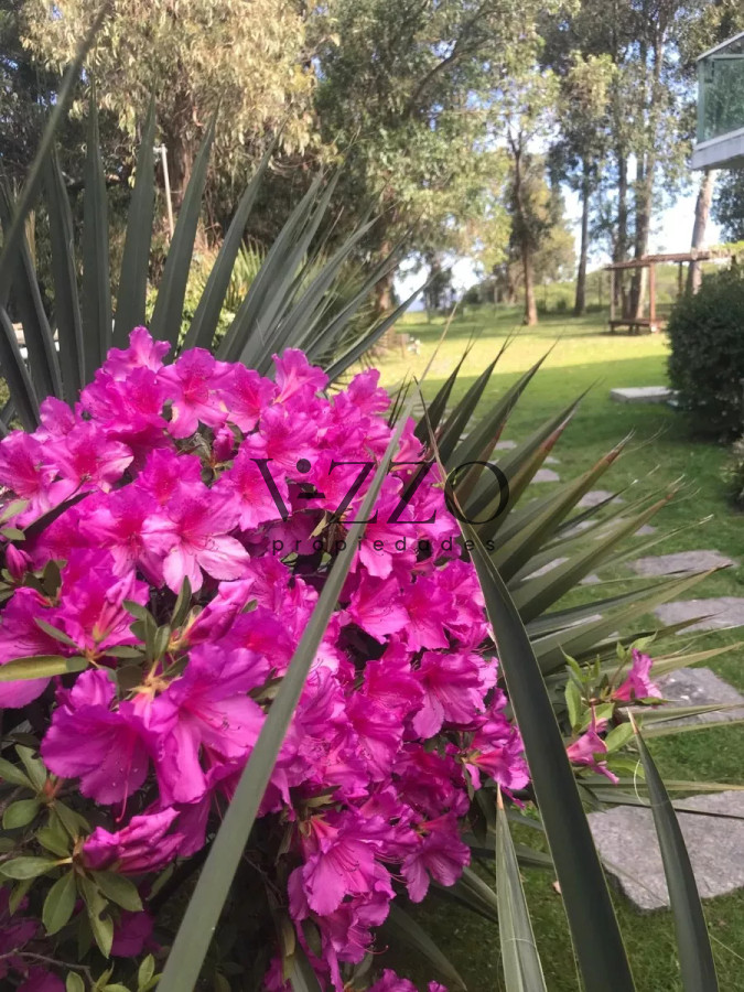 Apartamento ID.1332/Excelente-apartamento-en-venta-con-amenities-en-Villa-Argentina-a-metros-del-mar - Excelente apartamento en venta con amenities en Villa Argentina a metros del mar