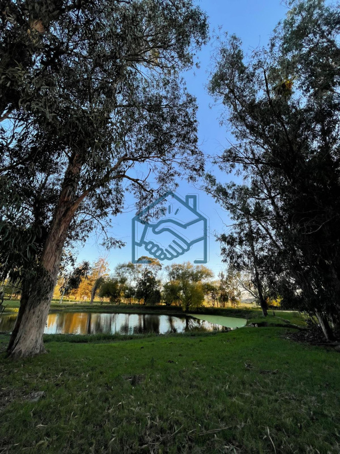 Chacra ID.1568/Venta-de-Chacra-de-6-Ha-con-2-casas--en-Zanja-de-Chavez- - Venta de Chacra de 6 Ha con 2 casas  en Zanja de Chavez 