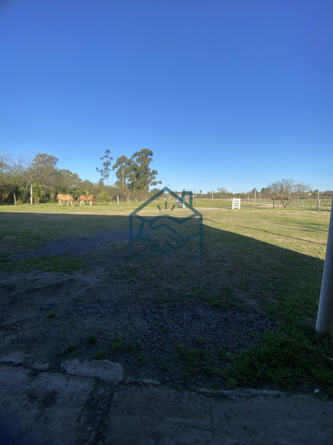 Chacra ID.1565/CHACRA-5-HECTAREAS-EN-VENTA-SAN-FELIX-PAYSANDU - CHACRA 5 HECTAREAS EN VENTA SAN FELIX PAYSANDU