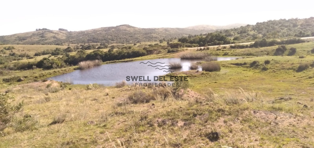Chacra ID.185 - Venta de Chacra de 10 Ha en Aigua