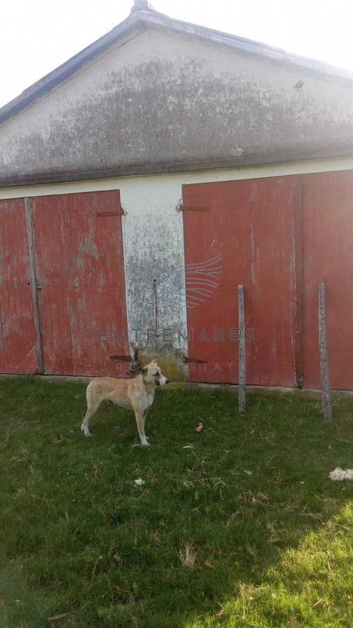 Campo Ref.359 - Venta de Campo 600Ha en Carape con casas