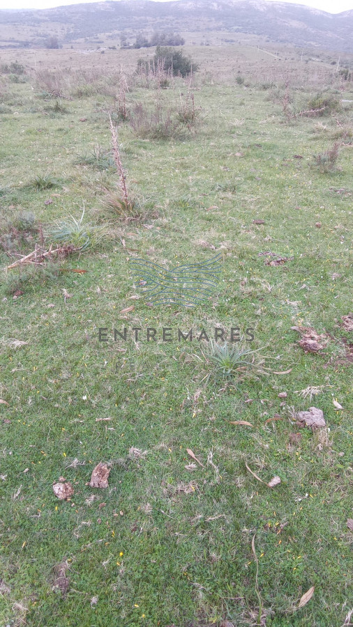 Campo Ref.359 - Venta de Campo 600Ha en Carape con casas