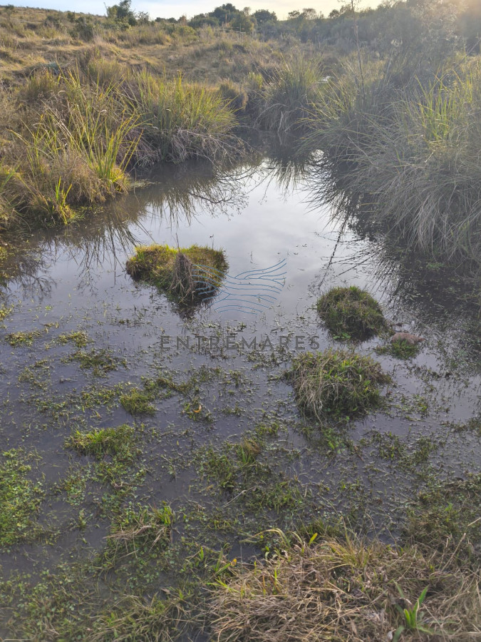 Campo Ref.360 - Venta de campo de 240 Has Zona Las Cañas