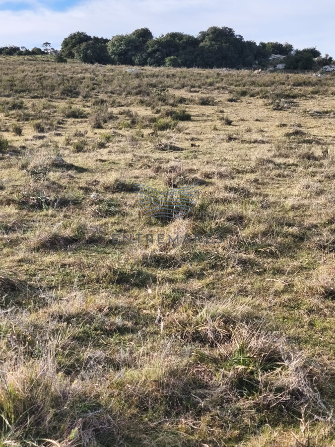 Campo Ref.360 - Venta de campo de 240 Has Zona Las Cañas