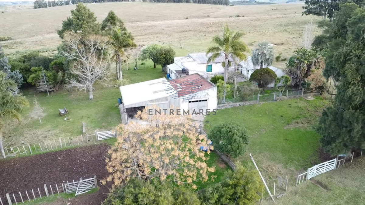 Campo Ref.360 - Venta de campo de 240 Has Zona Las Cañas