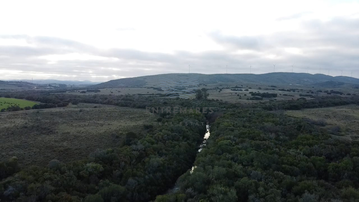 Campo Ref.360 - Venta de campo de 240 Has Zona Las Cañas