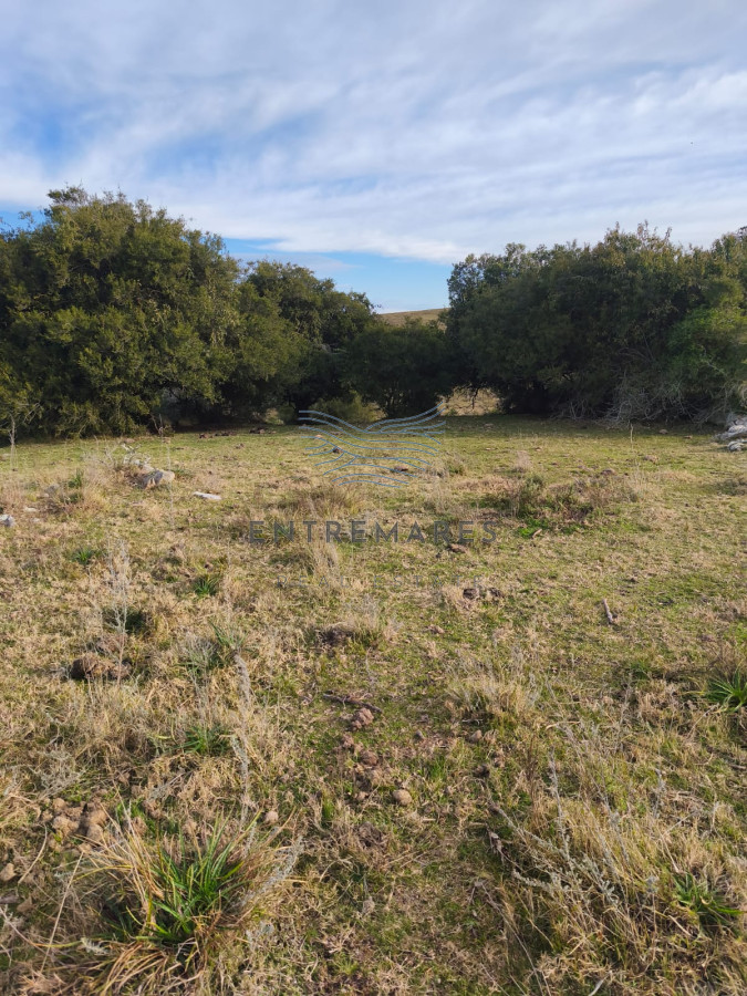 Campo Ref.360 - Venta de campo de 240 Has Zona Las Cañas