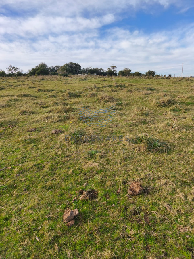 Campo Ref.360 - Venta de campo de 240 Has Zona Las Cañas