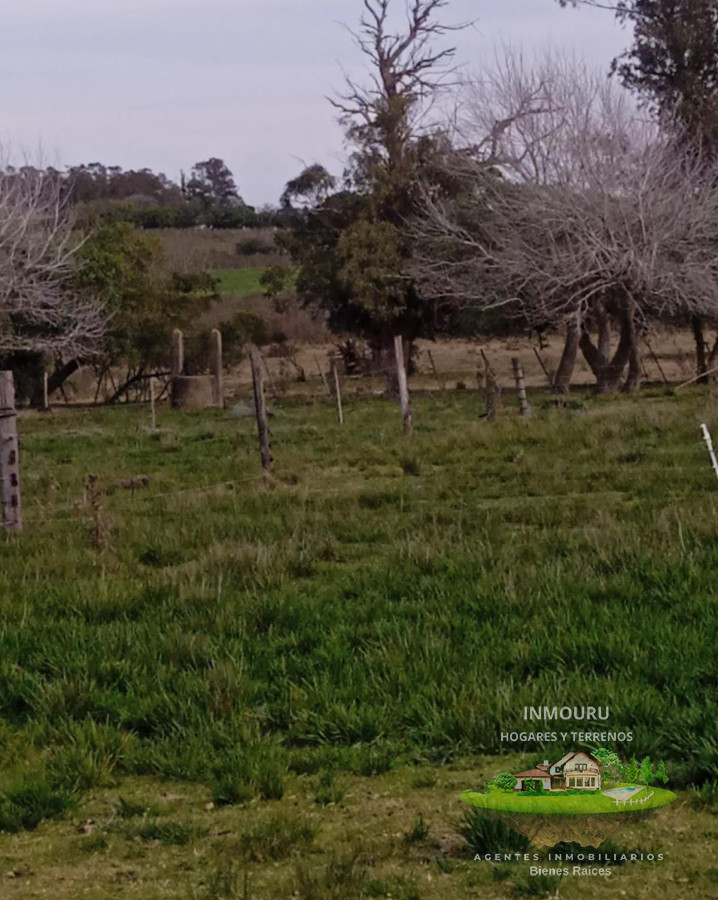 Chacra ID.984 - Oportunidad chacra de 3 ha en venta en  San Bautista