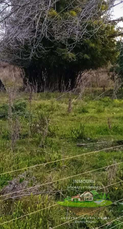 Chacra ID.984 - Oportunidad chacra de 3 ha en venta en  San Bautista
