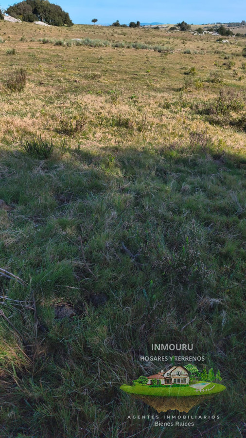 Campo Ref.1698 - Venta de campo 138 Ha Maldonado