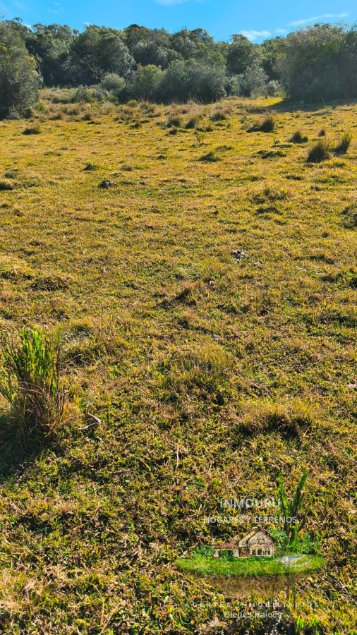 Campo Ref.1698 - Venta de campo 138 Ha Maldonado