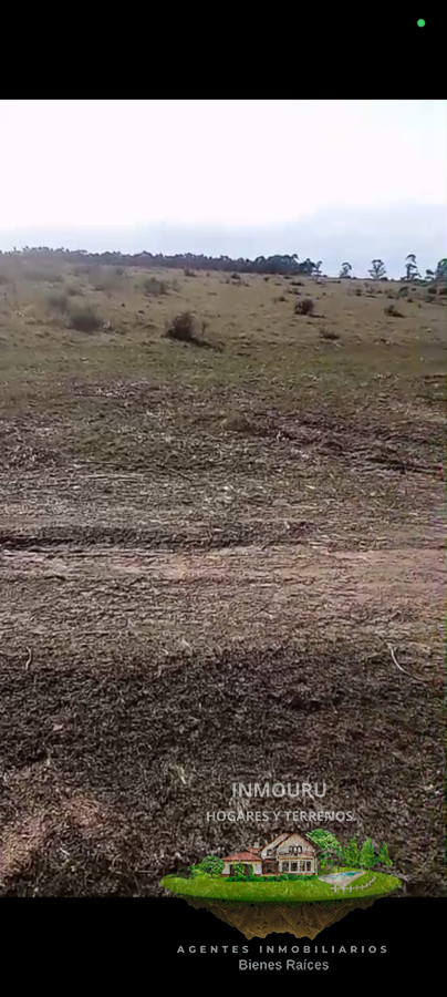 Campo Ref.1698 - Venta de campo 138 Ha Maldonado