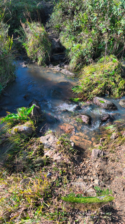 Campo Ref.1698 - Venta de campo 138 Ha Maldonado