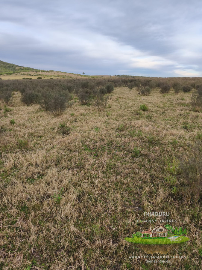 Campo Ref.1696 - Venta de Campo de 25 Ha en 