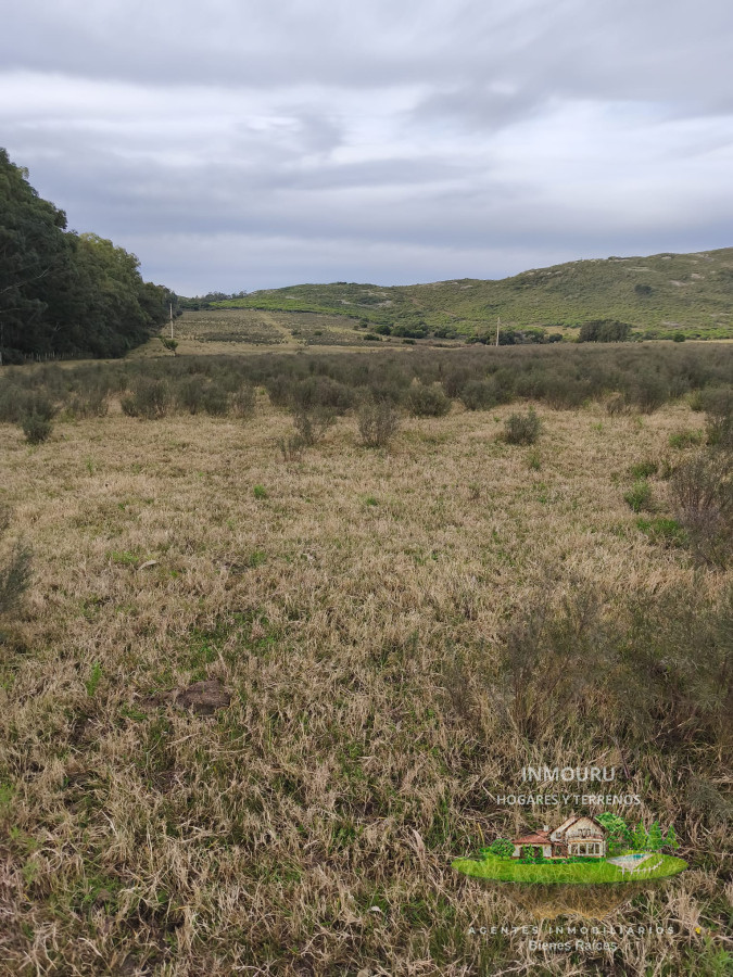 Campo Ref.1696 - Venta de Campo de 25 Ha en 