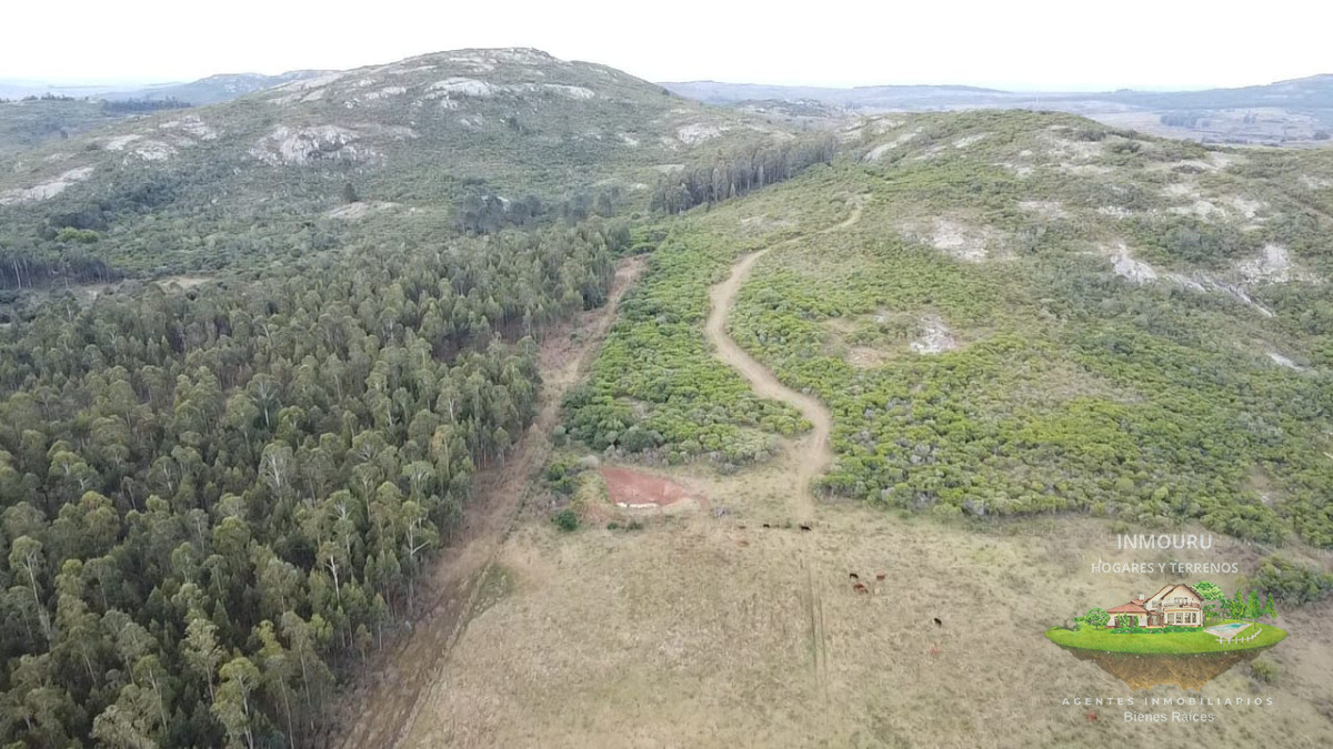 Campo Ref.1696 - Venta de Campo de 25 Ha en 