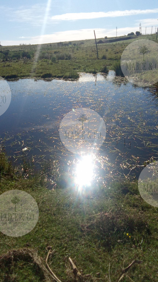 Chacra ID.2604 - Venta de Chacra 5Ha en Abra Perdomo
