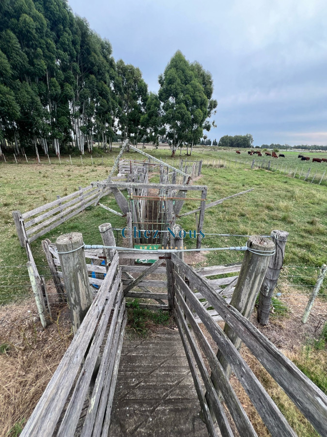 Chacra ID.1174 - SE VENDE CAMPO EN CANELONES.