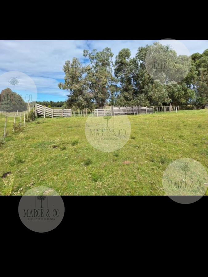 Chacra ID.2601 - Venta de Chacra de 8 Ha con casa 
