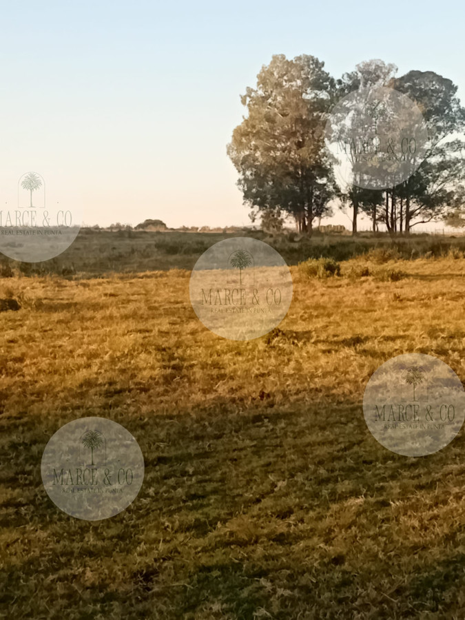 Chacra ID.2600 - Venta de Chacra de 7 Ha en Zanja de Chavez, Maldonado