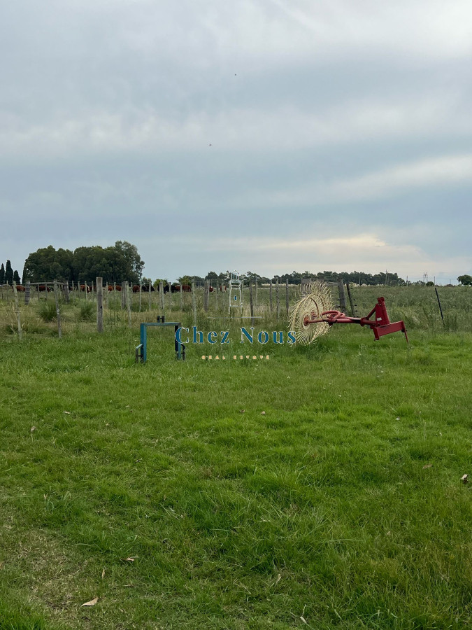 Chacra ID.1174 - SE VENDE CAMPO EN CANELONES.