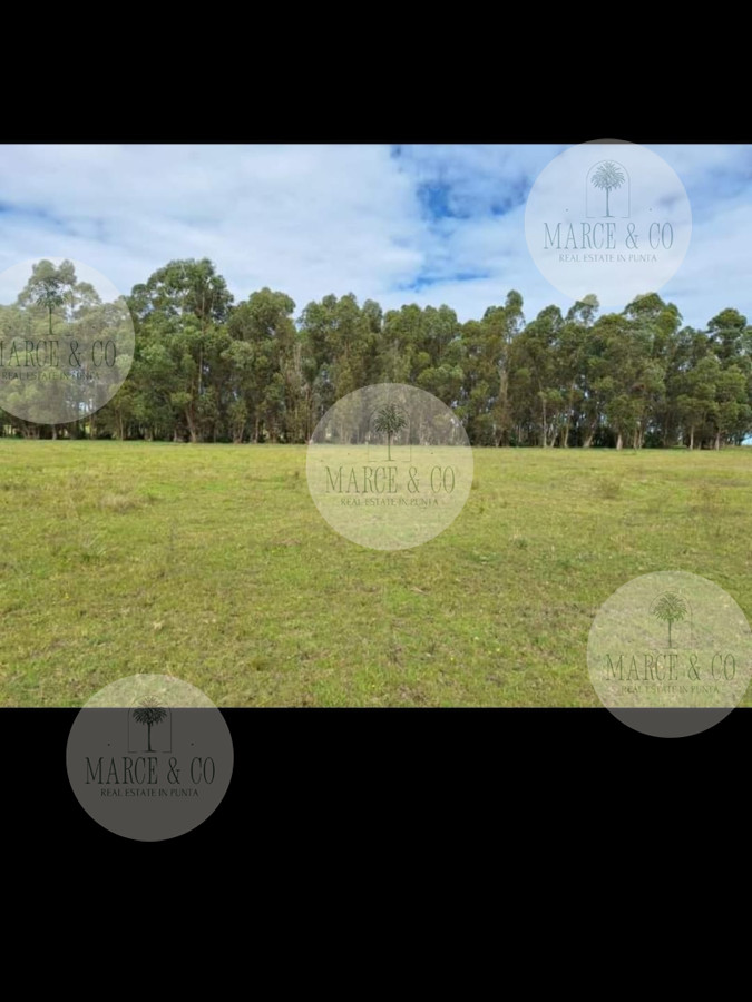 Chacra ID.2601 - Venta de Chacra de 8 Ha con casa 