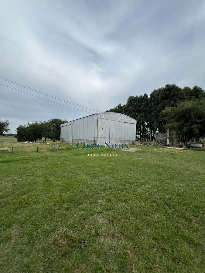 Chacra ID.1174 - SE VENDE CAMPO EN CANELONES.