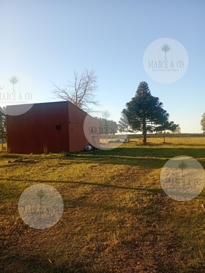 Chacra ID.2600 - Venta de Chacra de 7 Ha en Zanja de Chavez, Maldonado