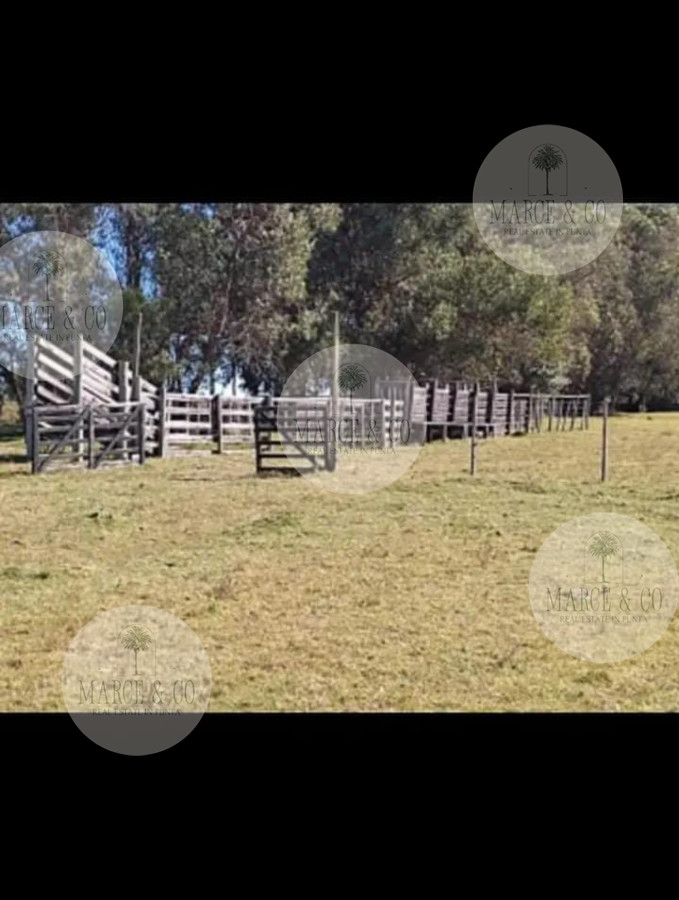 Chacra ID.2601 - Venta de Chacra de 8 Ha con casa 