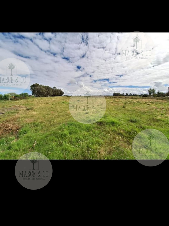 Chacra ID.2601 - Venta de Chacra de 8 Ha con casa 