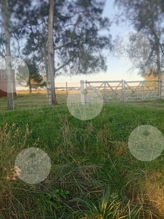 Chacra ID.2600 - Venta de Chacra de 7 Ha en Zanja de Chavez, Maldonado