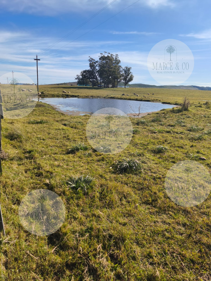 Chacra ID.2602 - Hermosa Chacra de 5 Ha en Zanja de Chavez a 15 km de San Carlos
