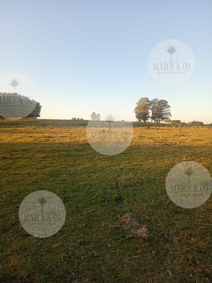 Chacra ID.2600 - Venta de Chacra de 7 Ha en Zanja de Chavez, Maldonado