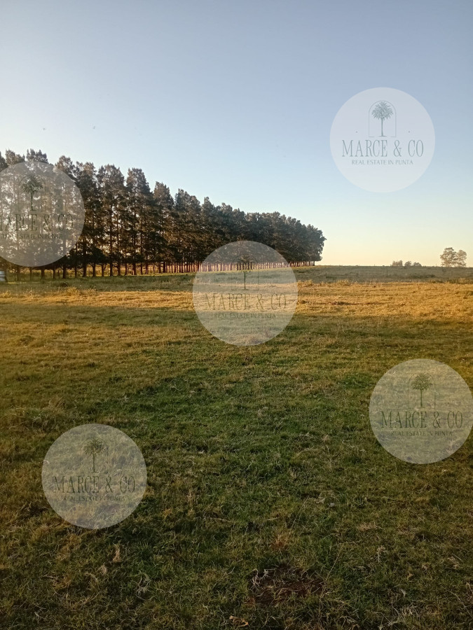 Chacra ID.2600 - Venta de Chacra de 7 Ha en Zanja de Chavez, Maldonado