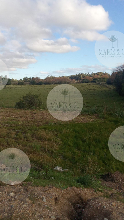 Chacra ID.2603 - Venta de Chacra con casa en Maldonado