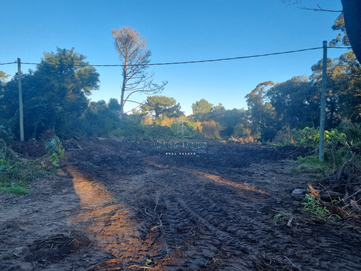 Terreno ID.428 - Terreno en Venta en Ocean Park, Maldonado – Inversión Estratégica en el Corazón del Este