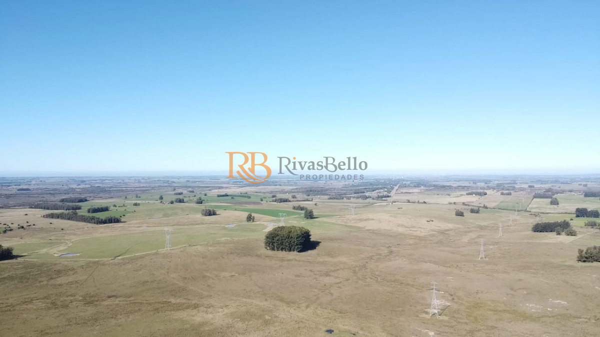 Campo Ref.113 - Venta de Campo de 103 Has Partido Norte