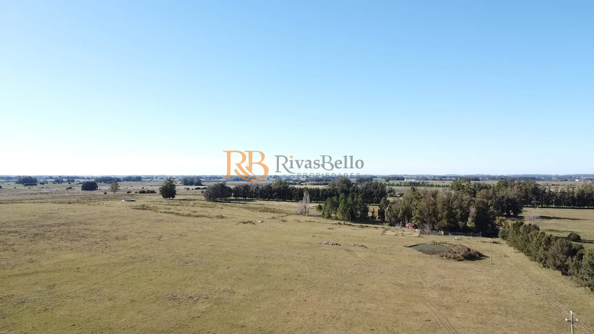 Campo Ref.114 - venta de campo con casa en Maldonado, Abra Perdomo 