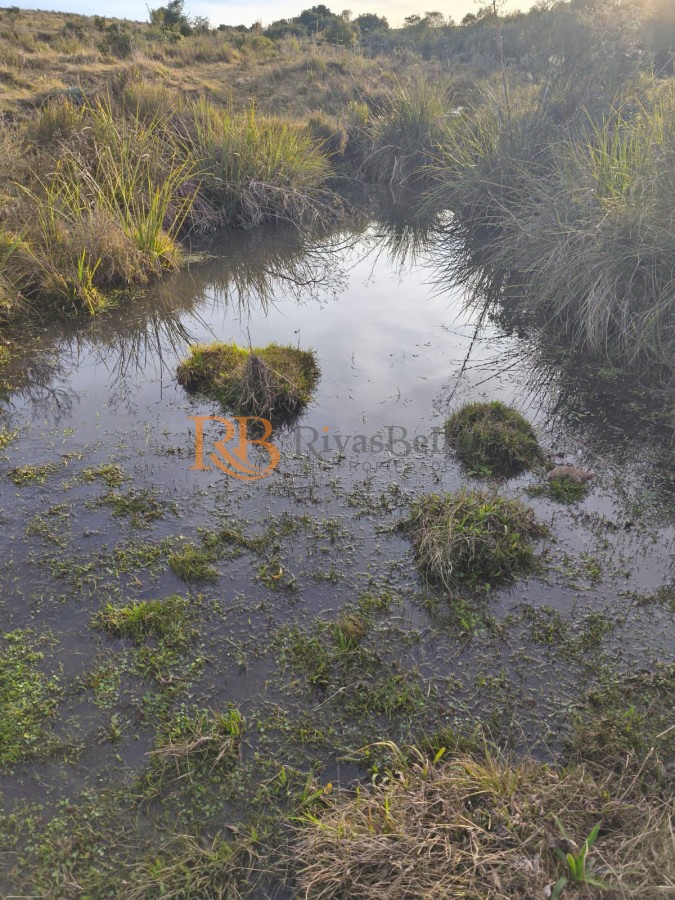 Campo Ref.109 - Venta de campo de 240 Has Zona Las Cañas