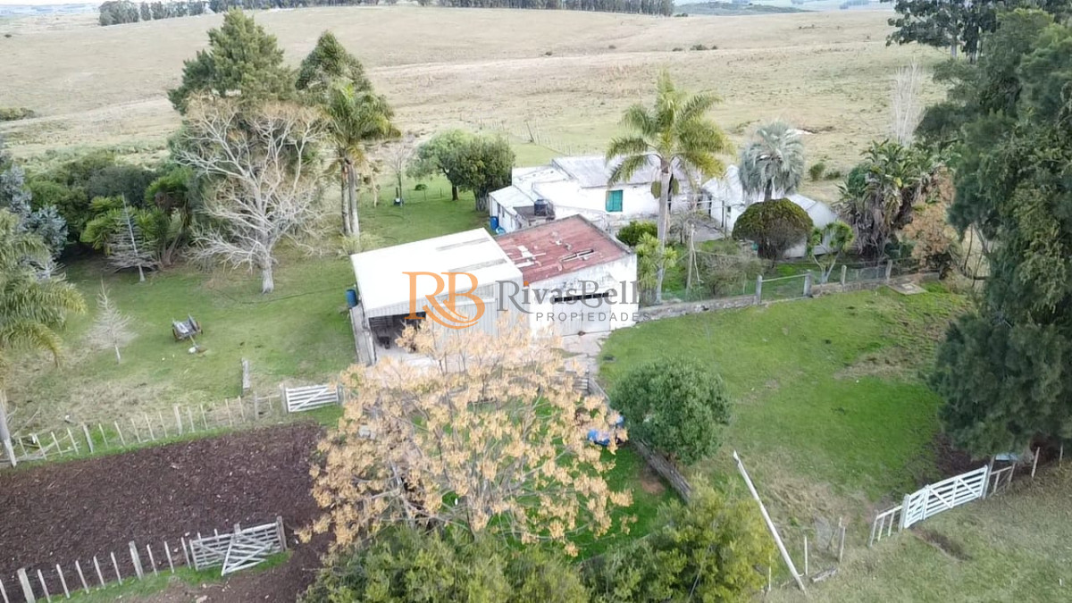 Campo Ref.109 - Venta de campo de 240 Has Zona Las Cañas