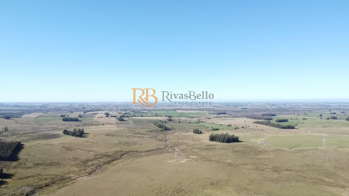 Campo Ref.113 - Venta de Campo de 103 Has Partido Norte