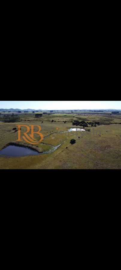 Campo Ref.114 - venta de campo con casa en Maldonado, Abra Perdomo 