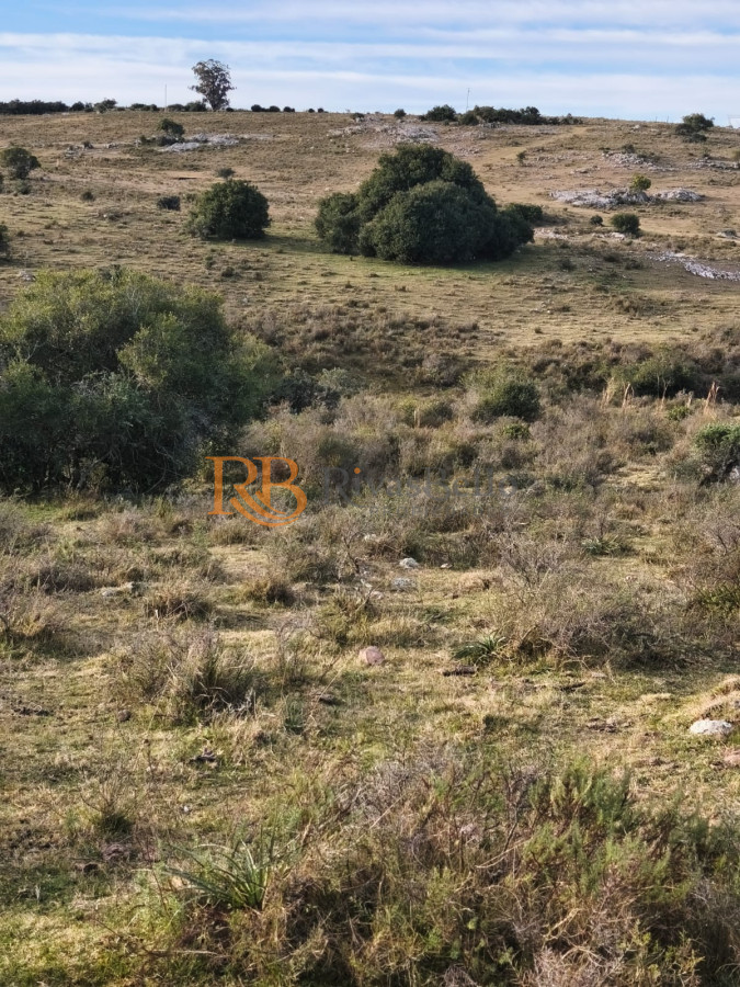 Campo Ref.109 - Venta de campo de 240 Has Zona Las Cañas