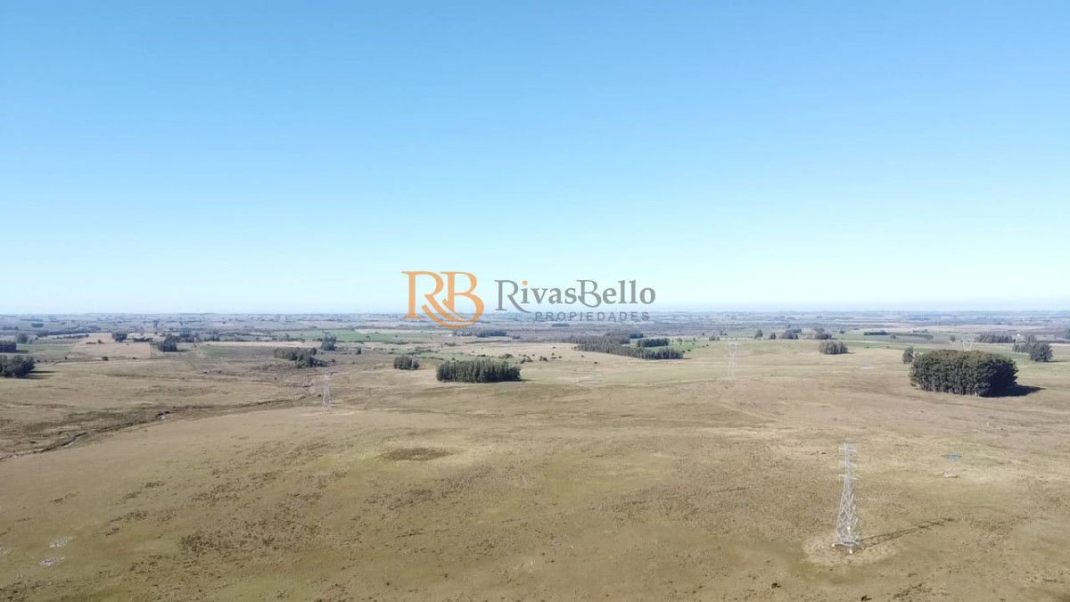 Campo Ref.113 - Venta de Campo de 103 Has Partido Norte