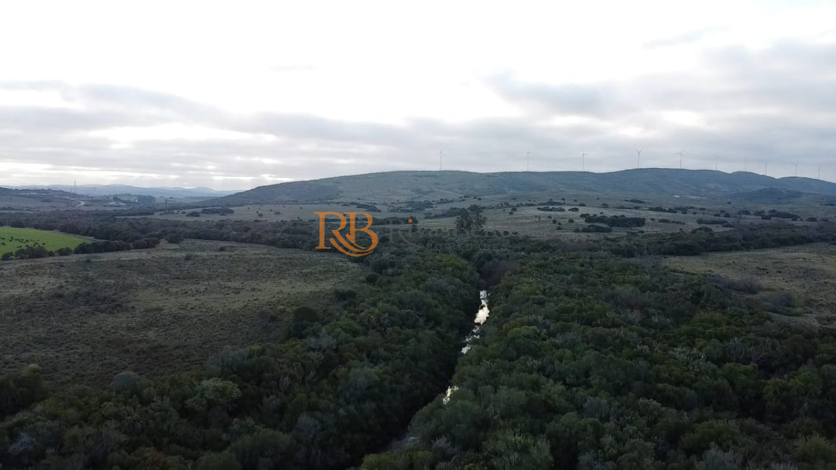 Campo Ref.109 - Venta de campo de 240 Has Zona Las Cañas